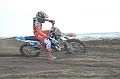 _ROB8374 (Copy)
